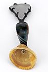 Shell spoon